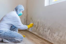 Best Basement Mold Removal in Northlake, SC