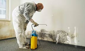 Best Residential Mold Inspection & Testing in Northlake, SC